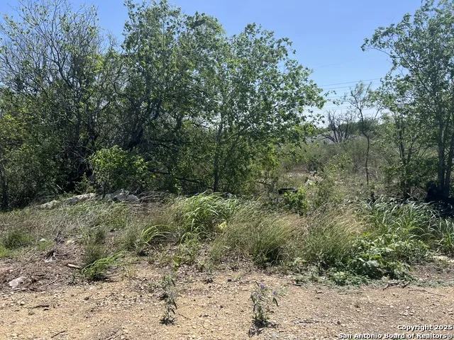 710 Hampton San Antonio, TX 78220