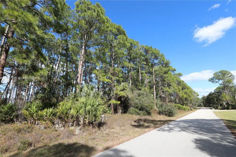 12167 Alumna Ave Port Charlotte, FL 33981