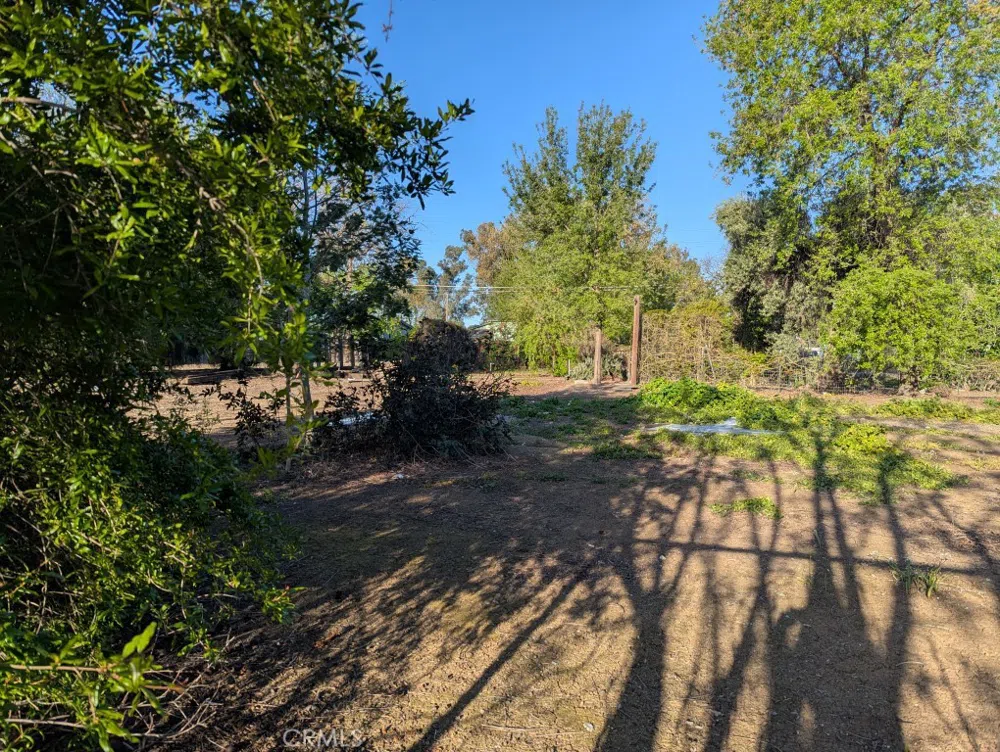 421 5th Street Willows, CA 95988