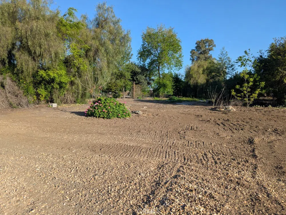 421 5th Street Willows, CA 95988