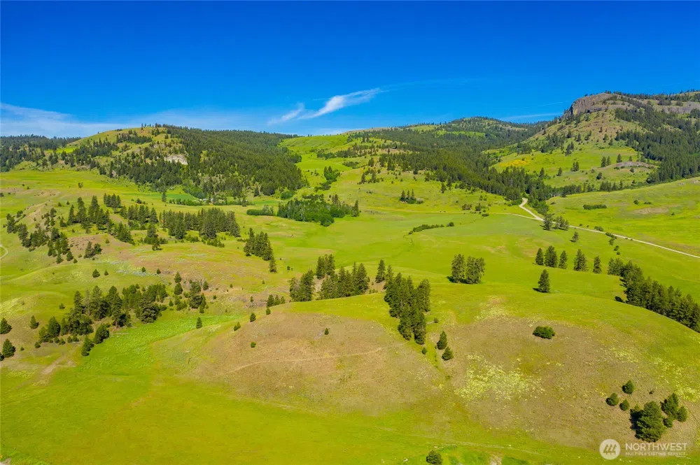 0 TBD Cromwell Road Republic, WA 99166