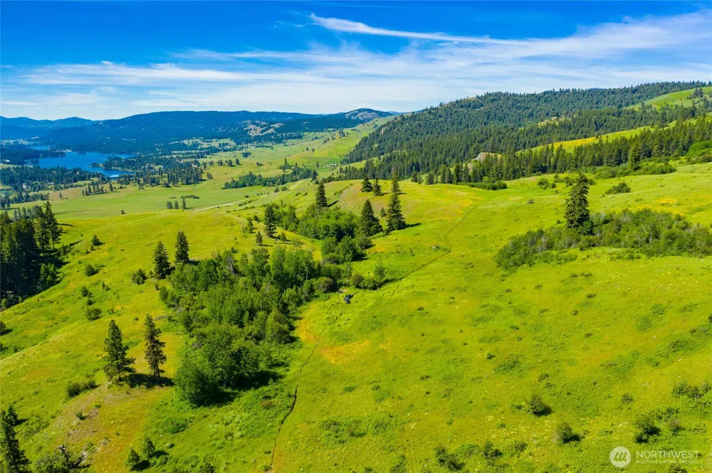 0 TBD Cromwell Road Republic, WA 99166