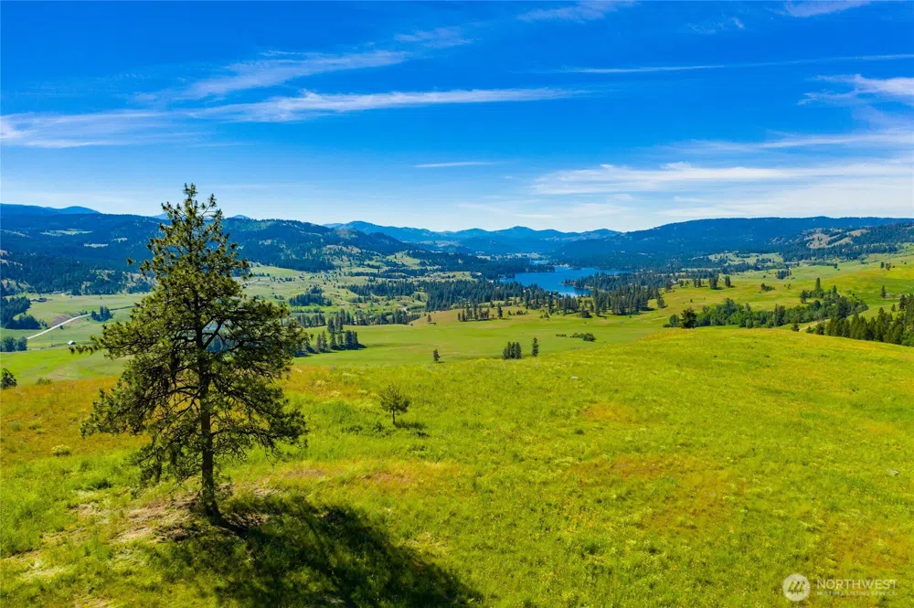 0 TBD Cromwell Road Republic, WA 99166