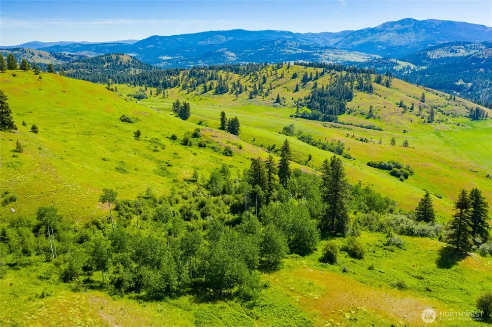 0 TBD Cromwell Road Republic, WA 99166