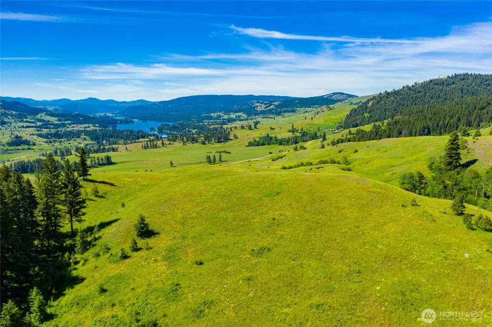 0 TBD Cromwell Road Republic, WA 99166
