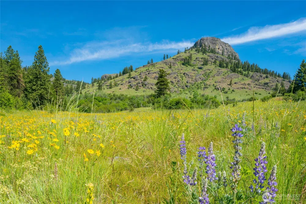 0 TBD Cromwell Road Republic, WA 99166
