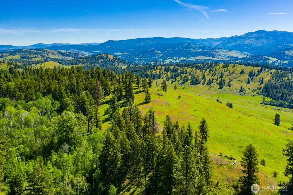 0 TBD Cromwell Road Republic, WA 99166