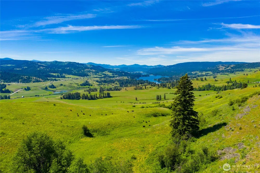 0 TBD Cromwell Road Republic, WA 99166