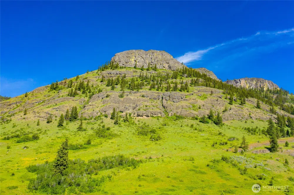 0 TBD Cromwell Road Republic, WA 99166