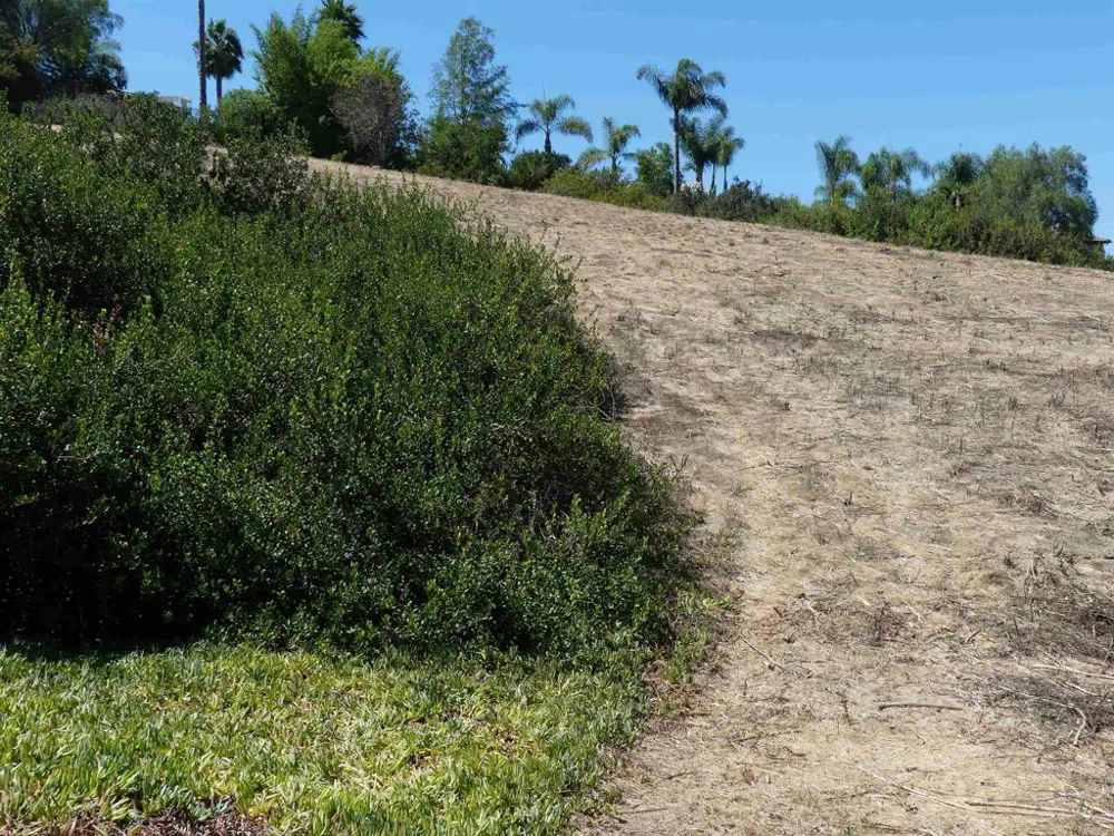 Paradise Glen Way San Marcos, CA 92078