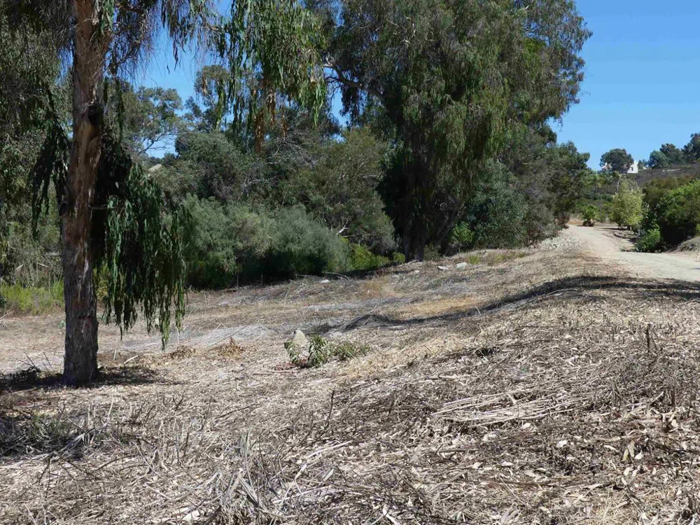 Paradise Glen Way San Marcos, CA 92078