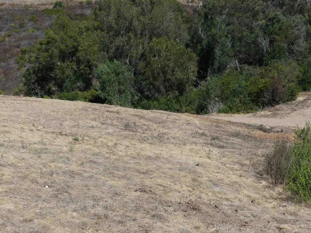 Paradise Glen Way San Marcos, CA 92078