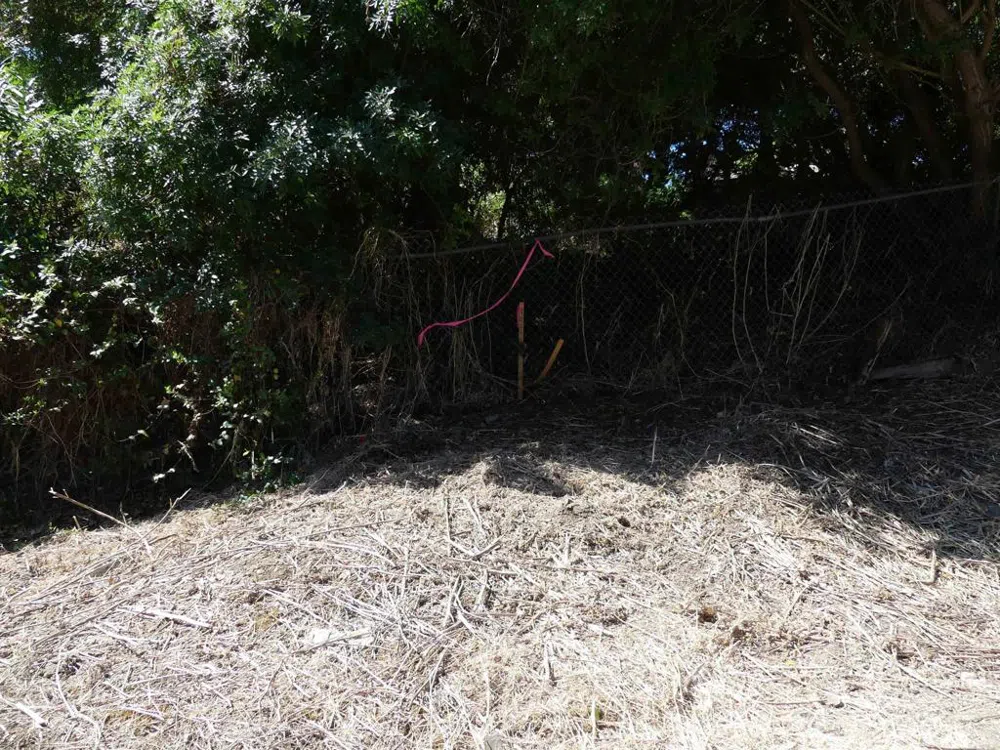 Paradise Glen Way San Marcos, CA 92078