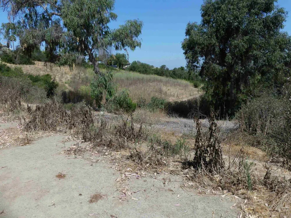 Paradise Glen Way San Marcos, CA 92078