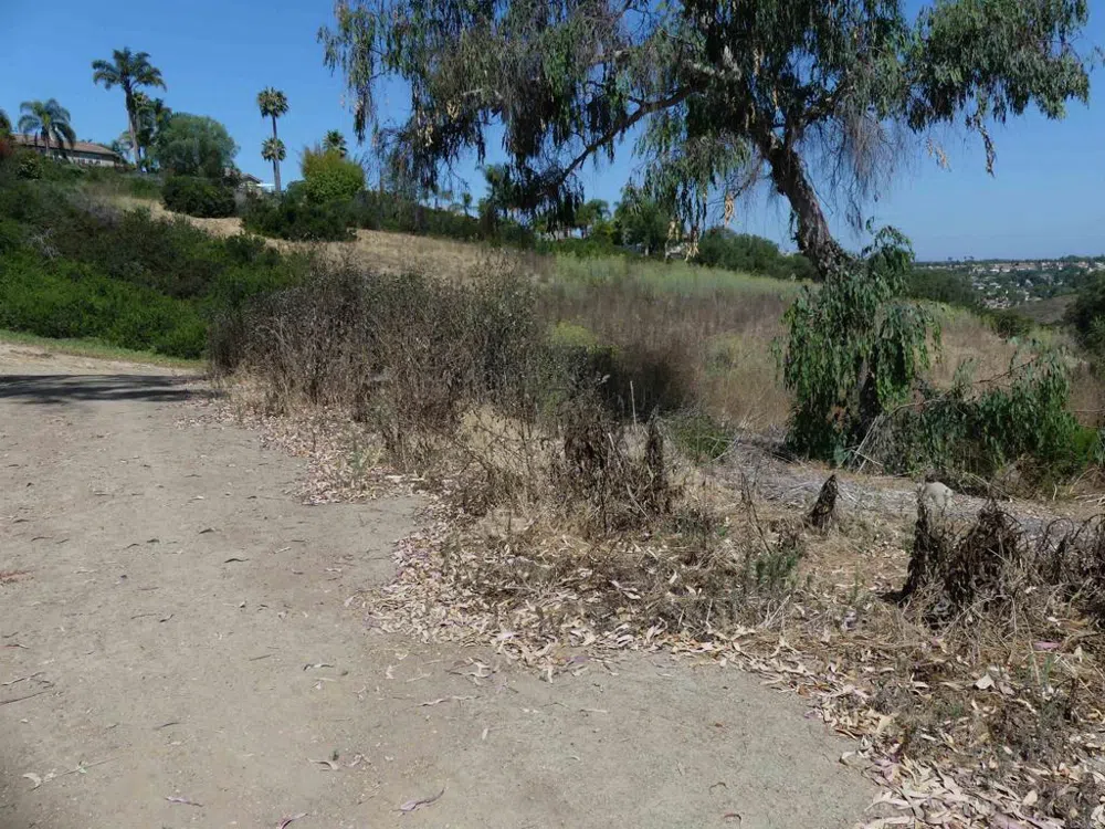 Paradise Glen Way San Marcos, CA 92078