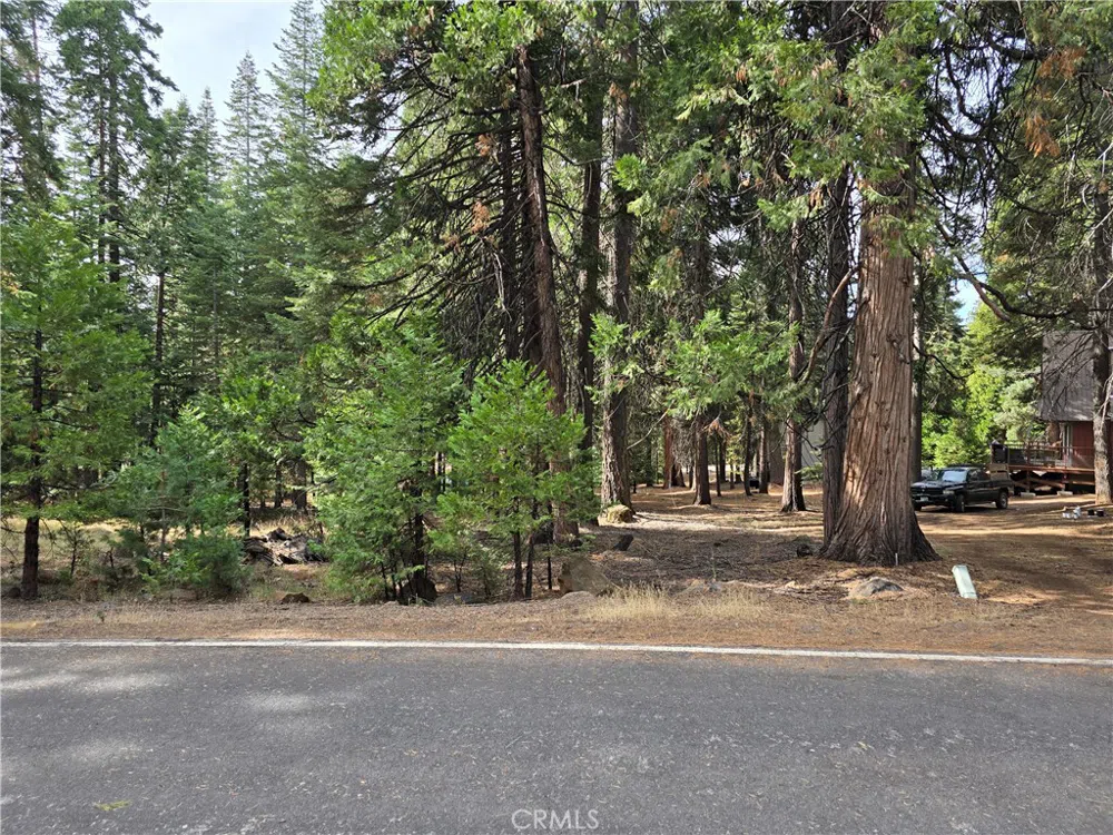 615 Clifford Trail Lake Almanor, CA 96137