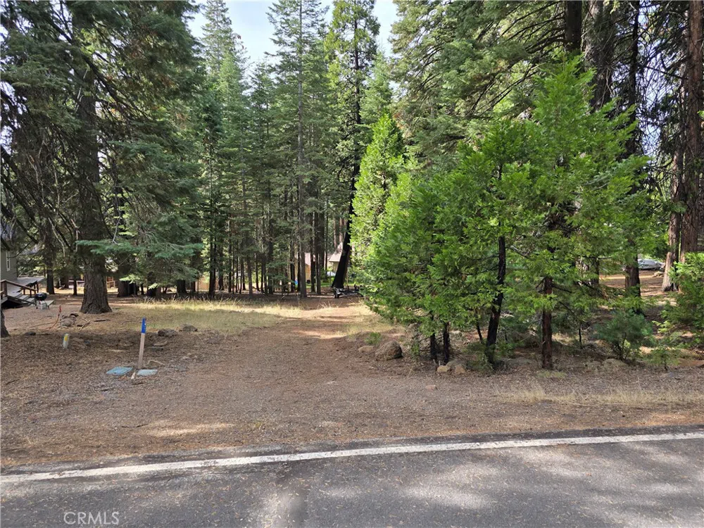 615 Clifford Trail Lake Almanor, CA 96137