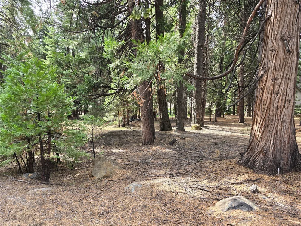 615 Clifford Trail Lake Almanor, CA 96137