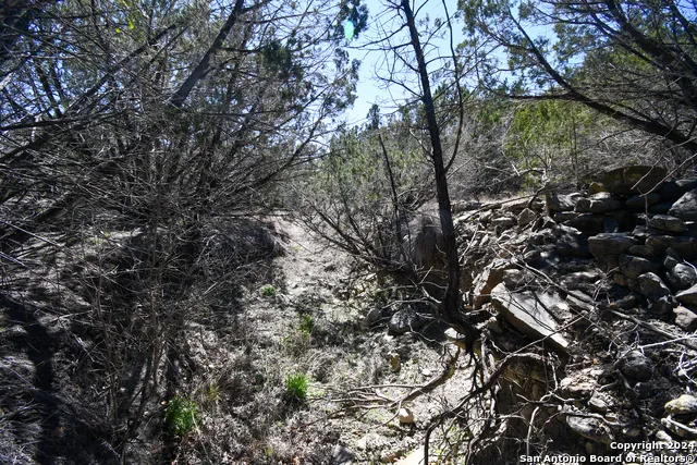665&699 Cool Creek Rd Camp Verde, TX 78010