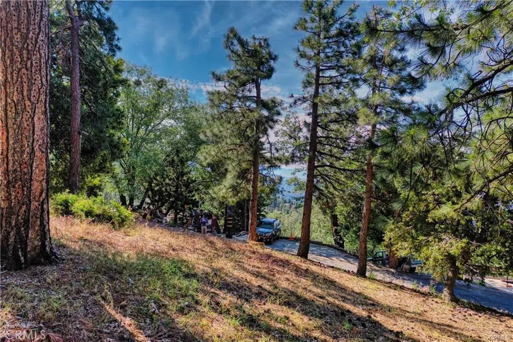 246 Ferndale Dr Running Springs, CA 92382