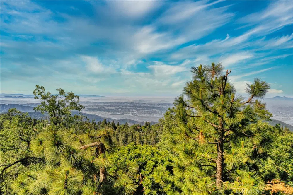 246 Ferndale Dr Running Springs, CA 92382