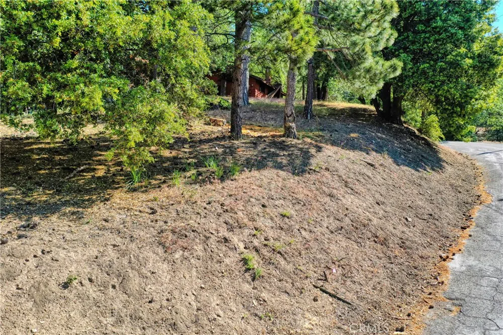 246 Ferndale Dr Running Springs, CA 92382