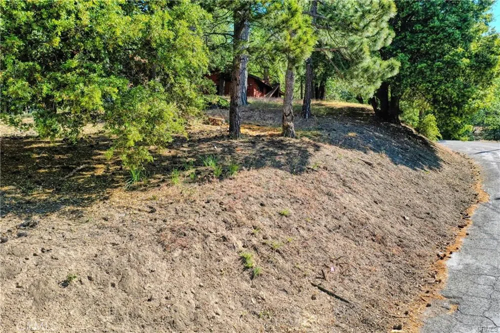246 Ferndale Dr Running Springs, CA 92382