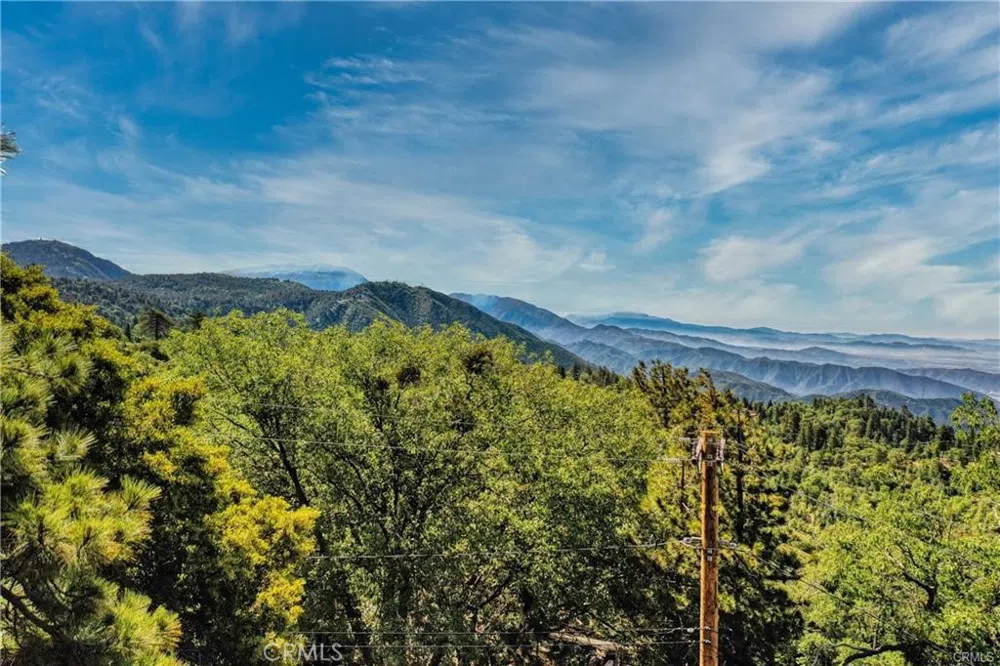 246 Ferndale Dr Running Springs, CA 92382