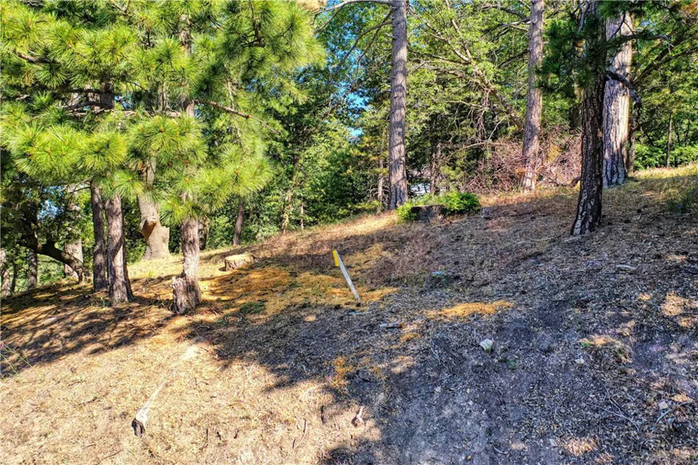 246 Ferndale Dr Running Springs, CA 92382