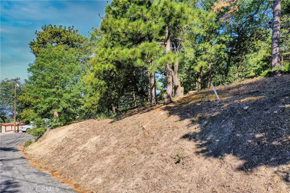 246 Ferndale Dr Running Springs, CA 92382