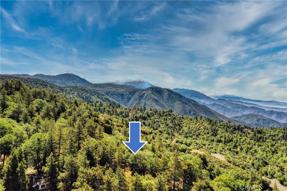 246 Ferndale Dr Running Springs, CA 92382