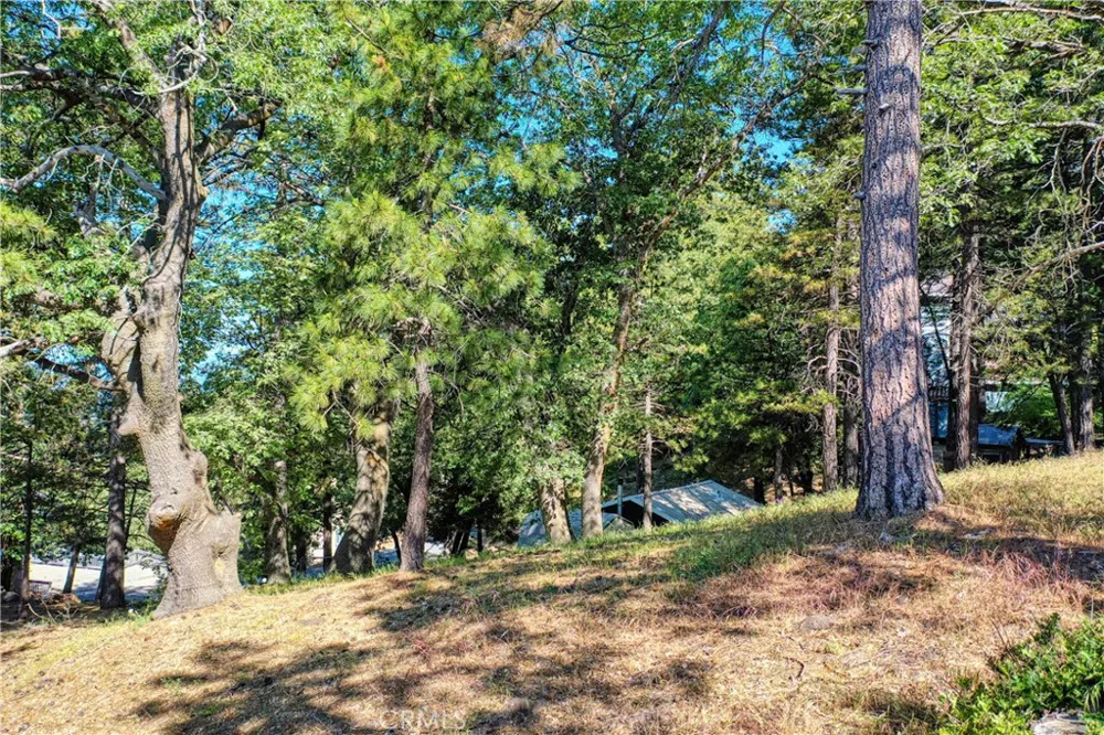 246 Ferndale Dr Running Springs, CA 92382