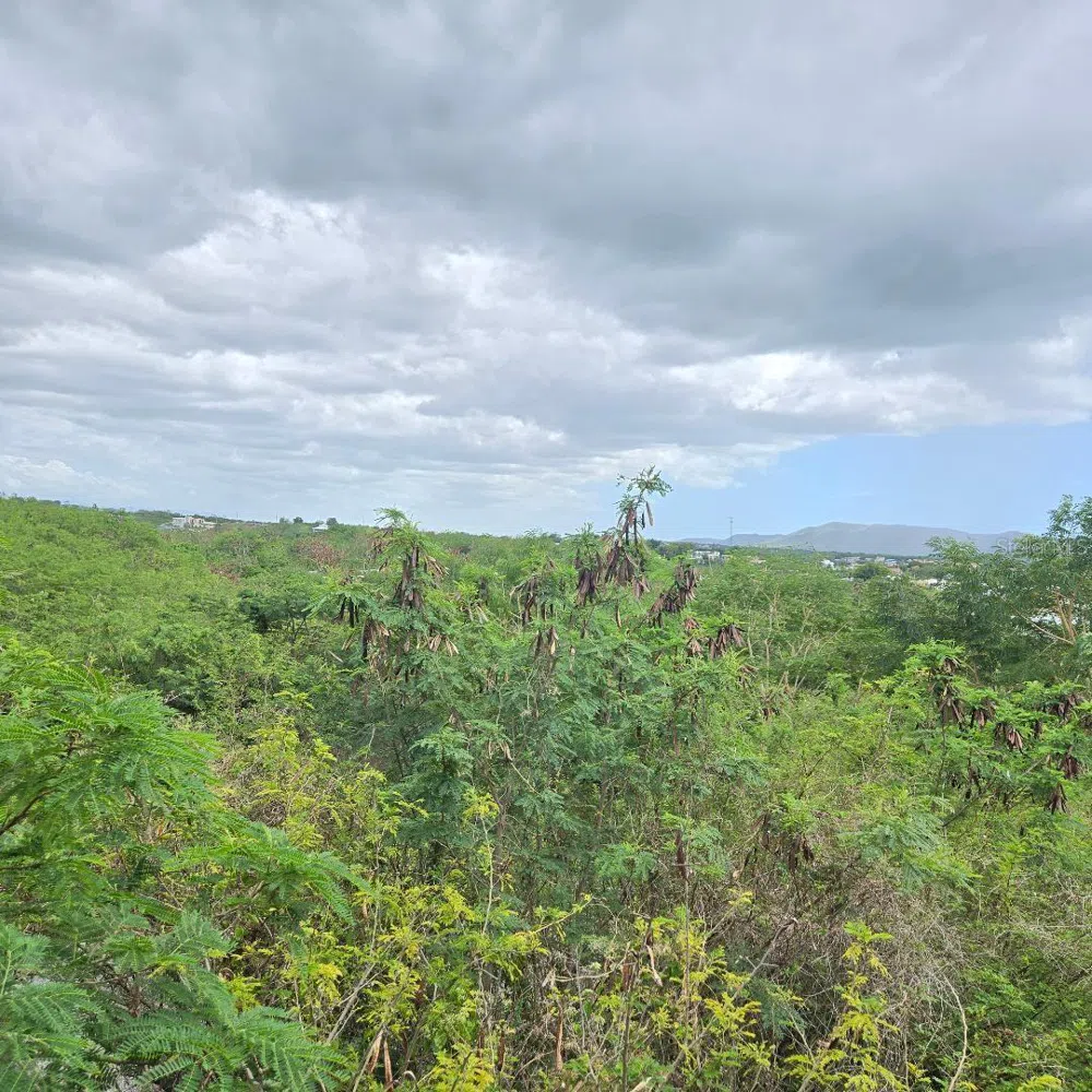 307 PEDERNALES WARD Cabo Rojo, PR 00623