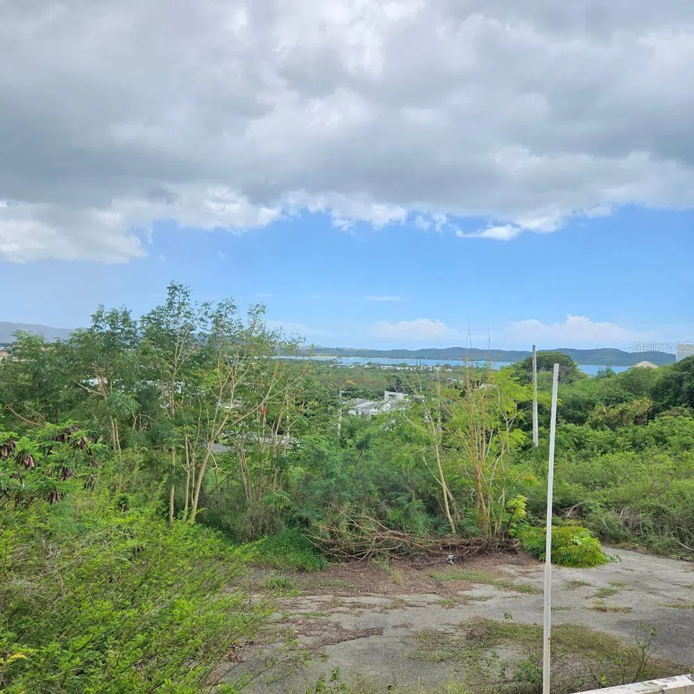 307 PEDERNALES WARD Cabo Rojo, PR 00623