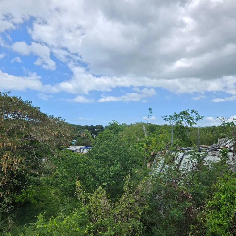 307 PEDERNALES WARD Cabo Rojo, PR 00623
