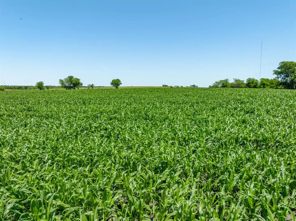 Cr 451 Eddy, TX 76524