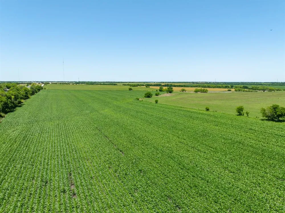 Cr 451 Eddy, TX 76524