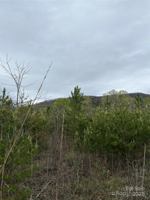 0 Rose Hollow Drive #Tract 1