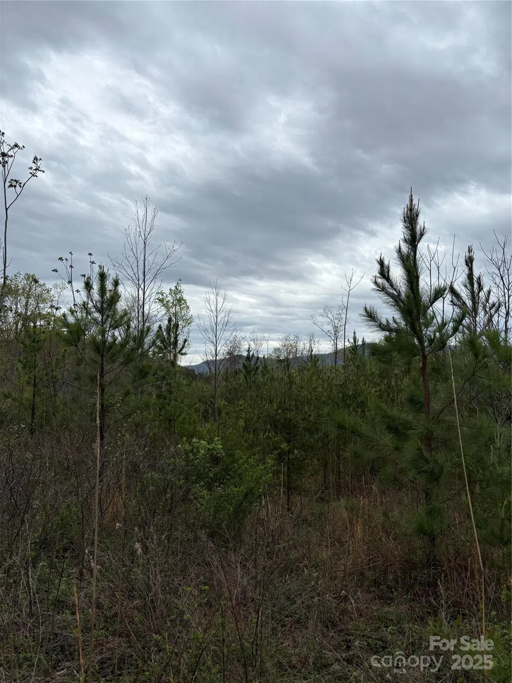 0 Rose Hollow Drive #Tract 1 Mill Spring, NC 28756