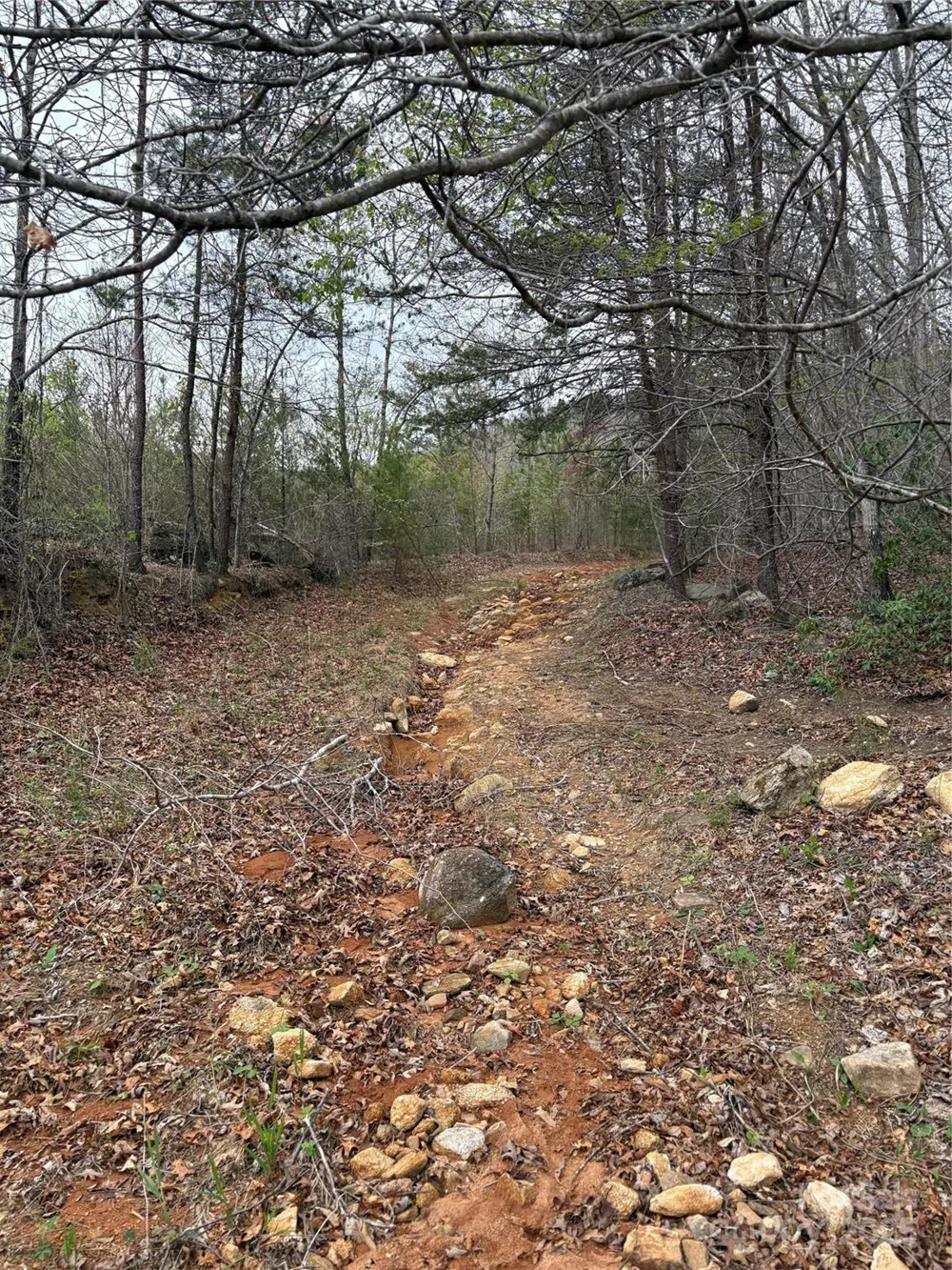0 Rose Hollow Drive #Tract 1 Mill Spring, NC 28756