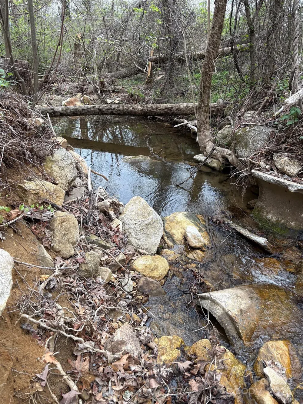 0 Rose Hollow Drive #Tract 1 Mill Spring, NC 28756
