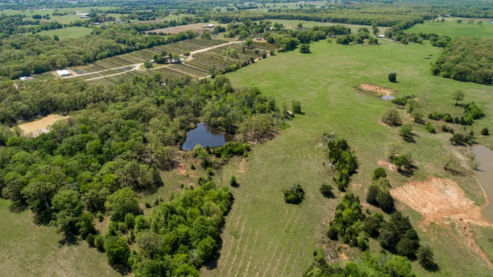 530 County Road 1123 Fruitvale, TX 75127