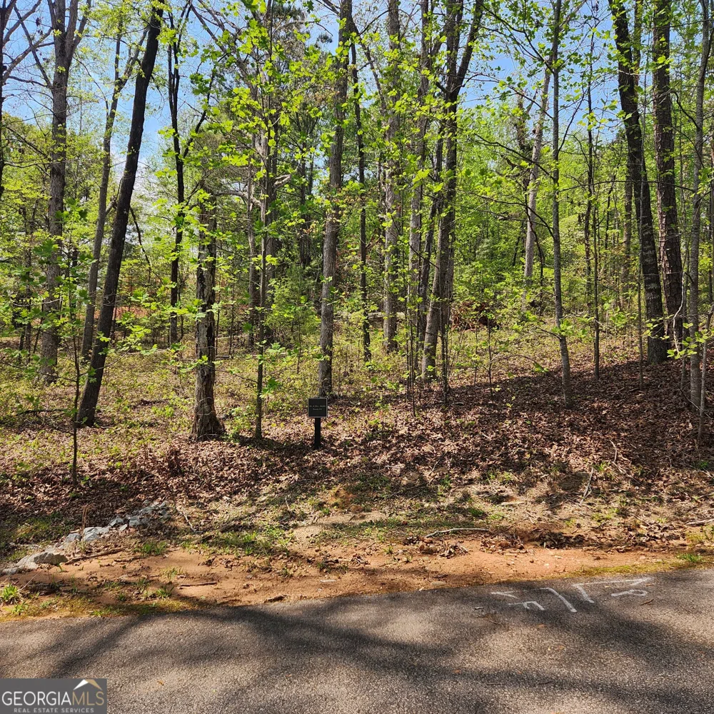 86 Edgewater TRL S Toccoa, GA 30577