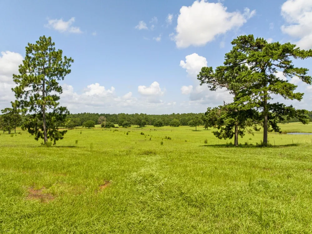 Lakeland Road Hillister, TX 75979