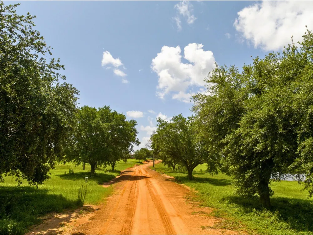 Lakeland Road Hillister, TX 75979