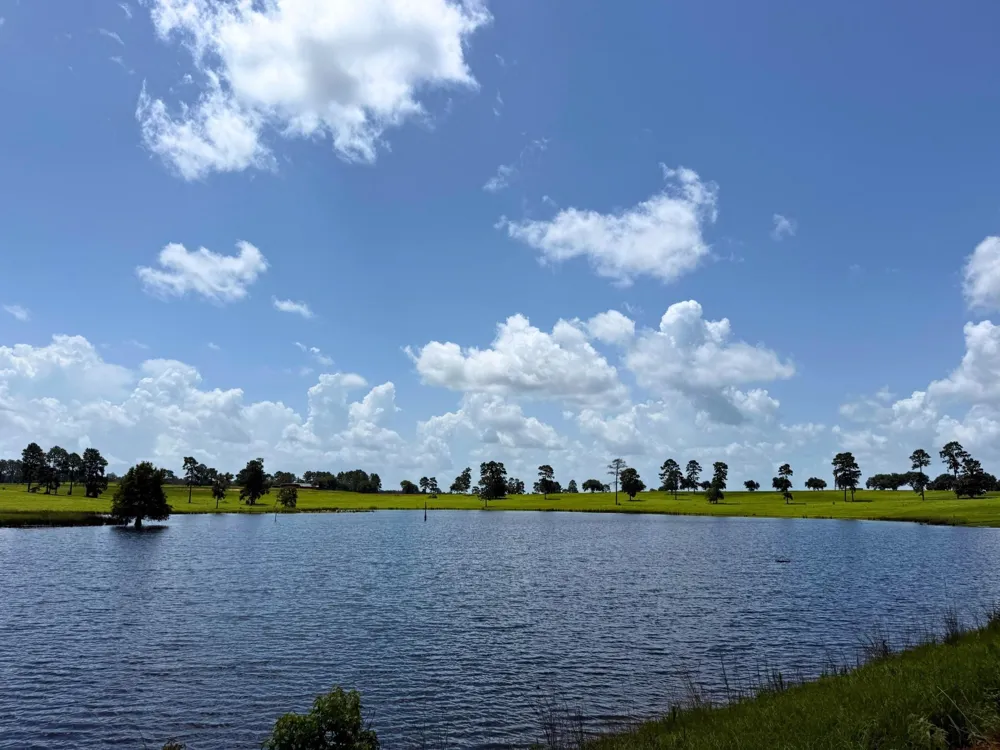 Lakeland Road Hillister, TX 75979