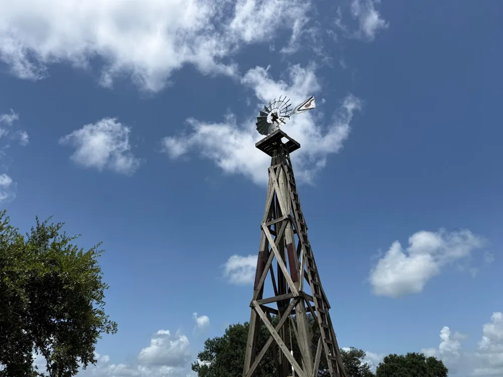 Lakeland Road Hillister, TX 75979