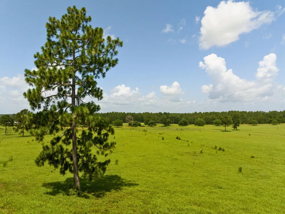 Lakeland Road Hillister, TX 75979