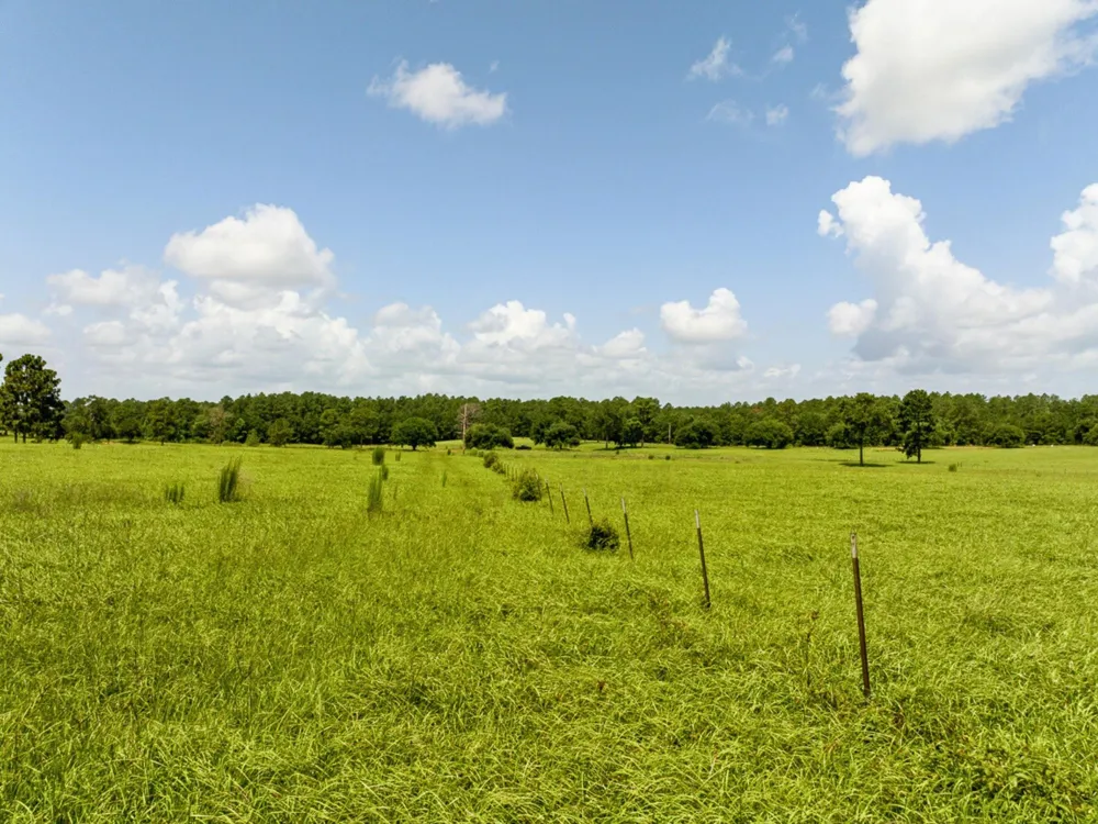 Lakeland Road Hillister, TX 75979