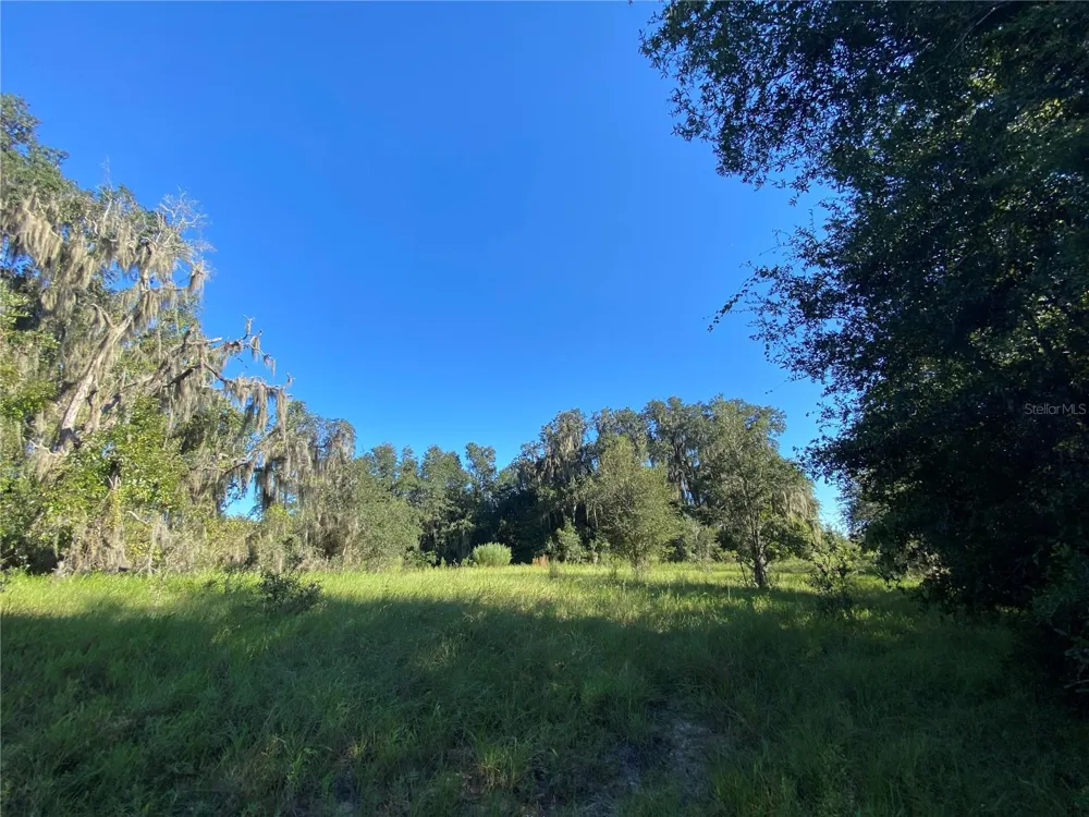 8701 S FRUITION AVENUE Floral City, FL 34436